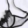 Mesh see-through bra and panty set