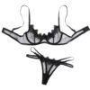 Mesh see-through bra and panty set
